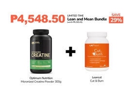 Lean and Mean Bundle