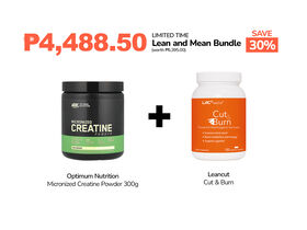 Lean and Mean Bundle