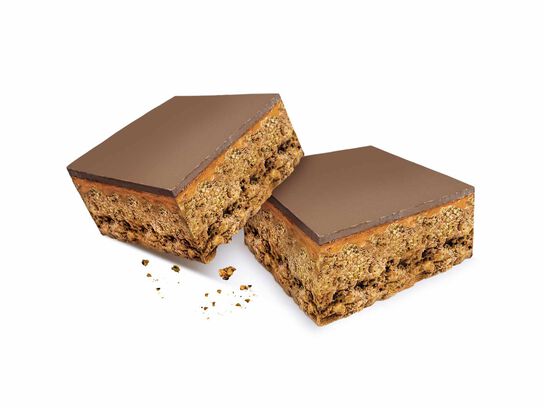 Protein Indulgence Bar