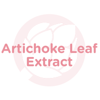 Artichoke Leaf Extract